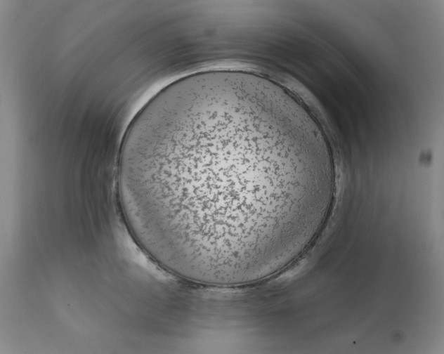 X0000113240860200909241544