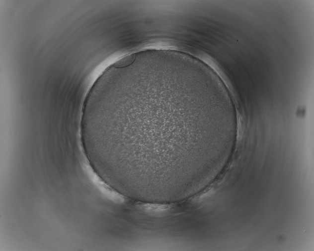 X0000113240861200909241544