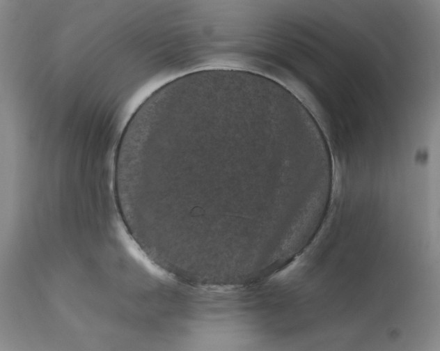 X0000113240862200909241545