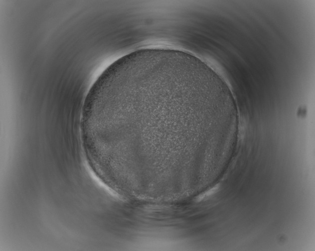 X0000113240863200909241545