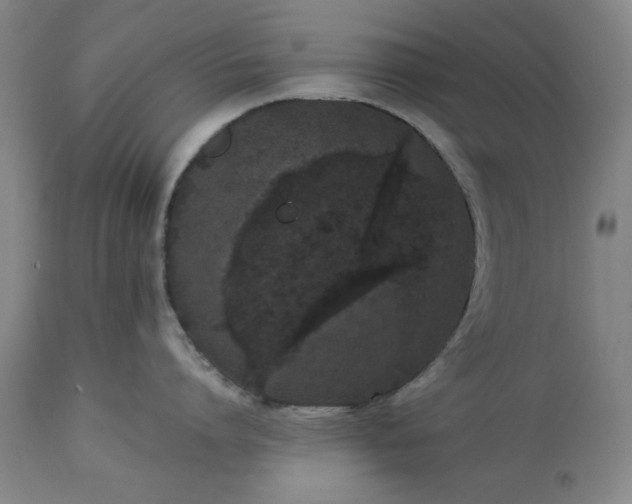 X0000113240864200909241545