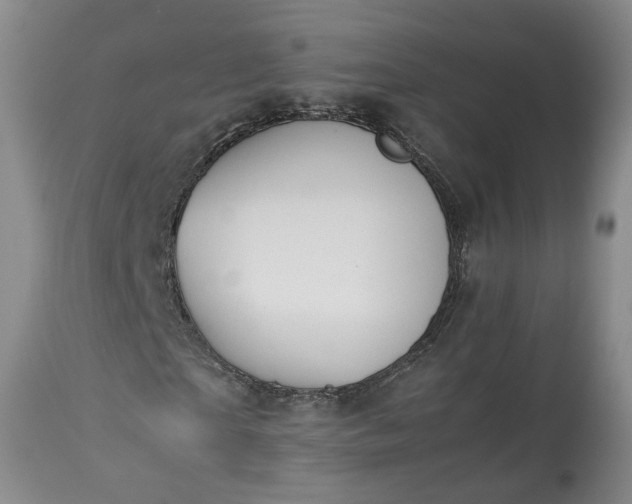 X0000113240865200909241544