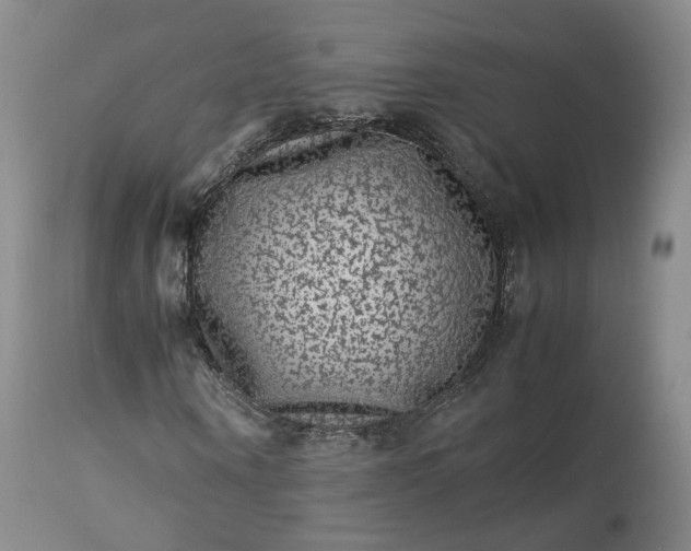 X0000113240866200909241544