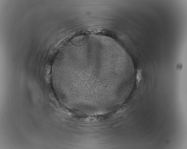 X0000113240867200909241544