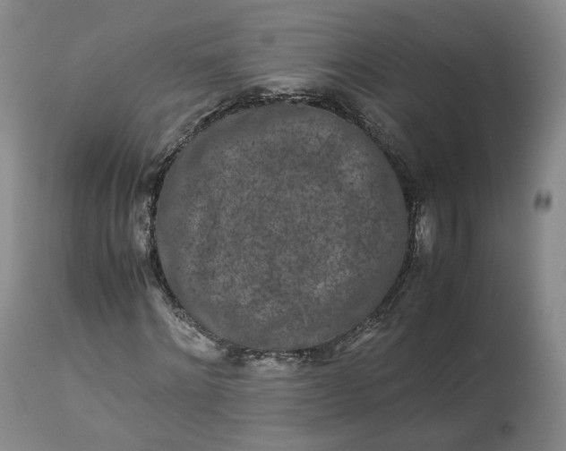 X0000113240868200909241544