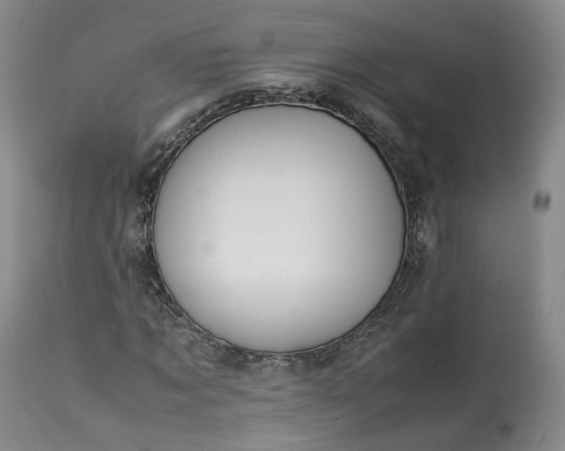 X0000113240869200909241544