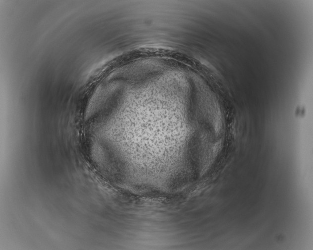 X0000113240870200909241544