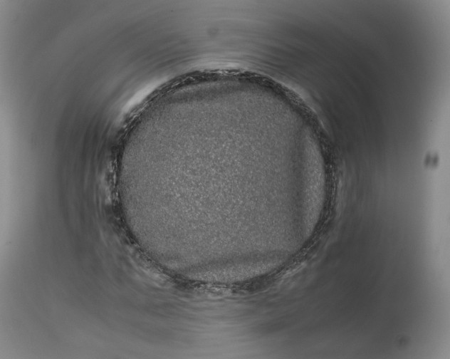 X0000113240871200909241544