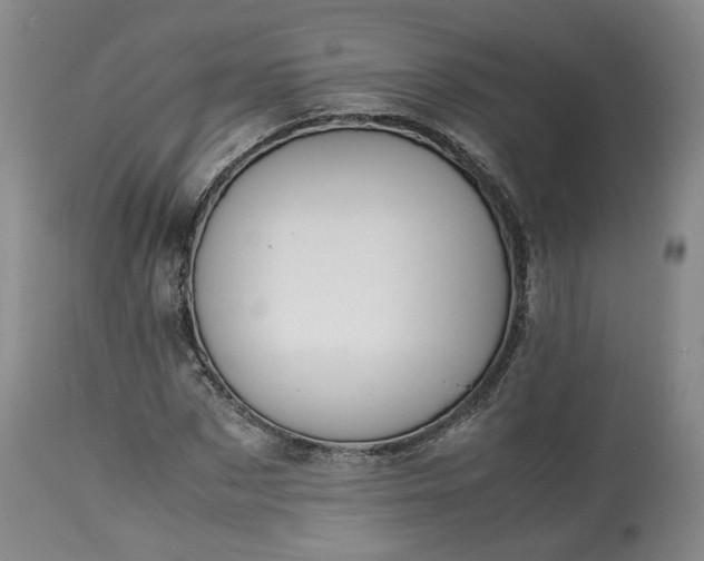 X0000113240873200909241544