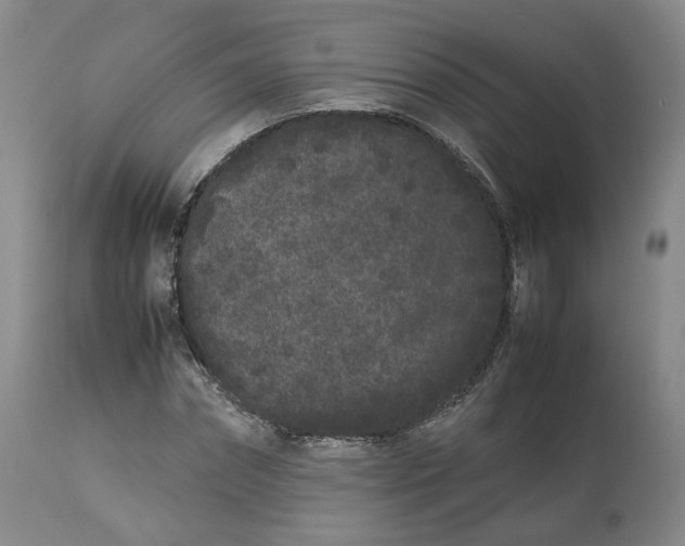 X0000113240874200909241544