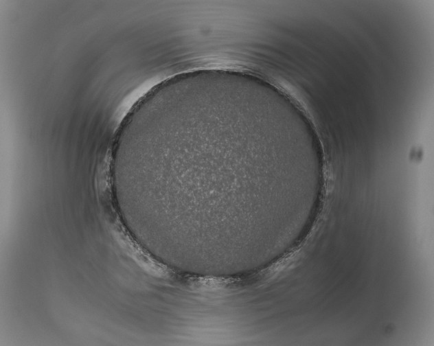 X0000113240875200909241544