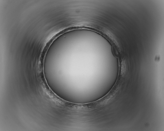 X0000113240876200909241544