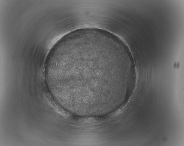 X0000113240879200909241544