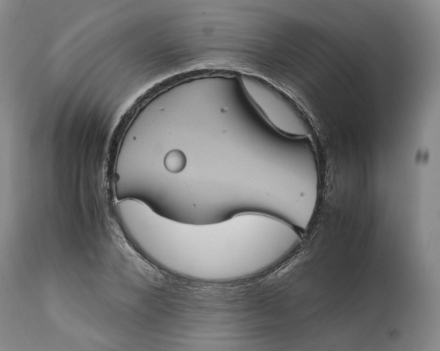 X0000113240880200909241544