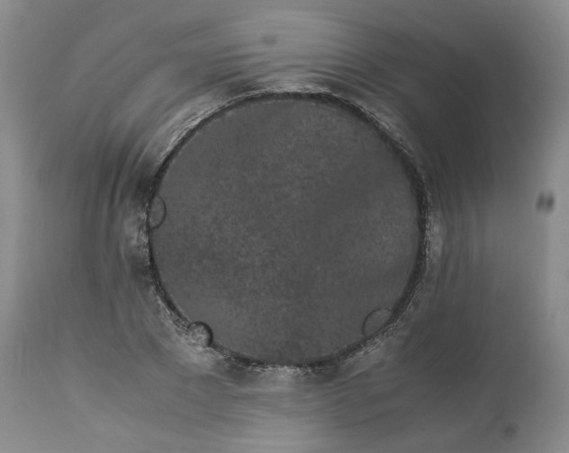 X0000113240881200909241544