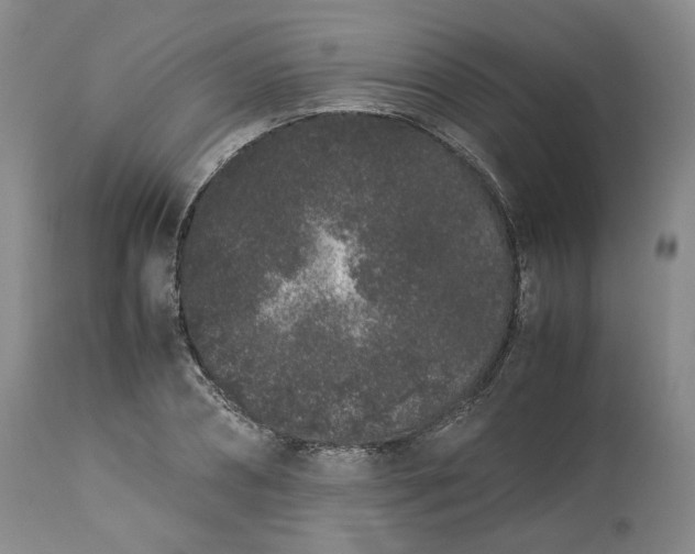 X0000113240882200909241544