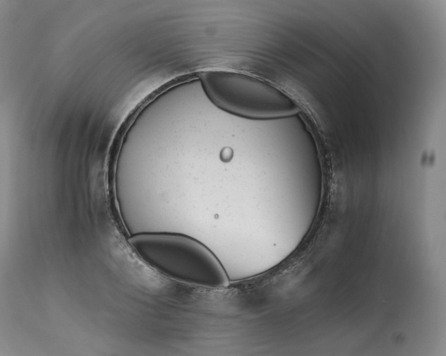 X0000113240884200909241544