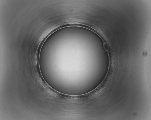 X0000113240885200909241544