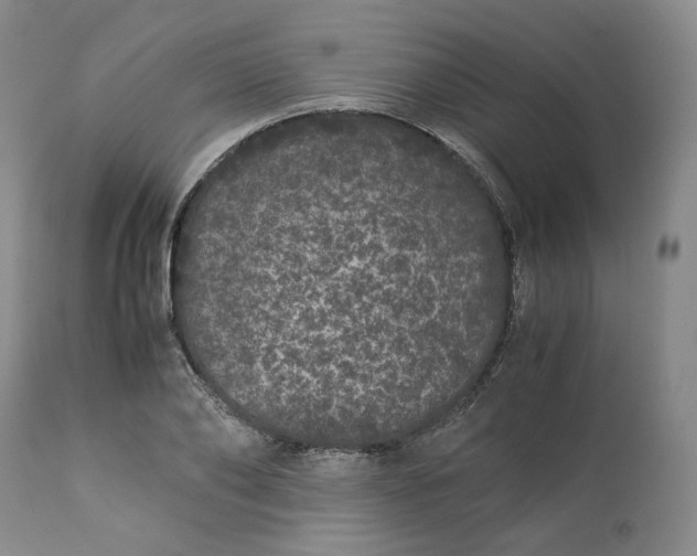 X0000113240886200909241544