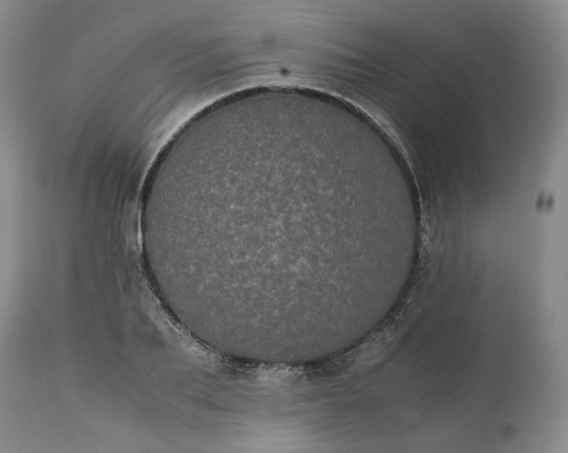 X0000113240887200909241544