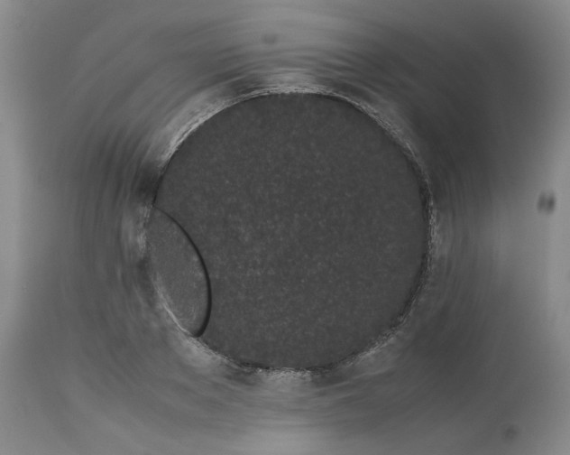 X0000113240889200909241544