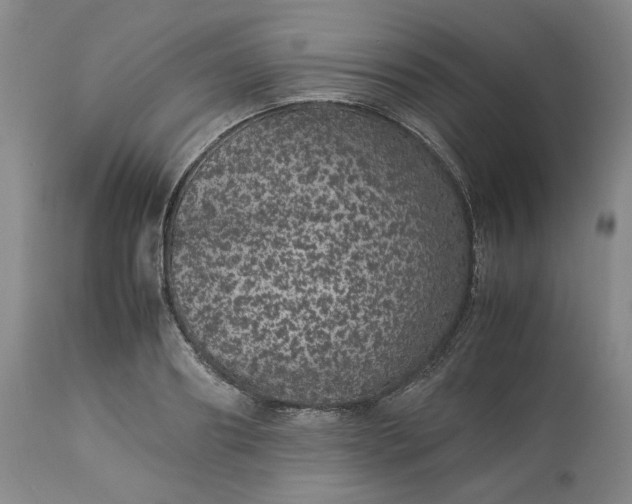 X0000113240890200909241544