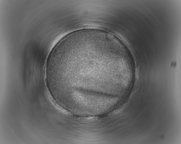 X0000113240891200909241544