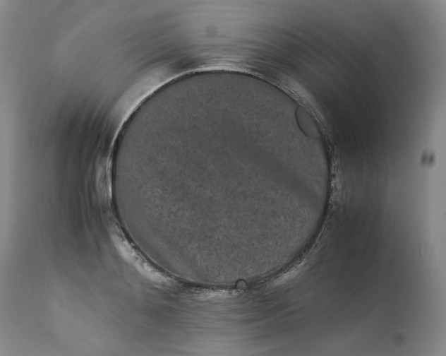 X0000113240892200909241544