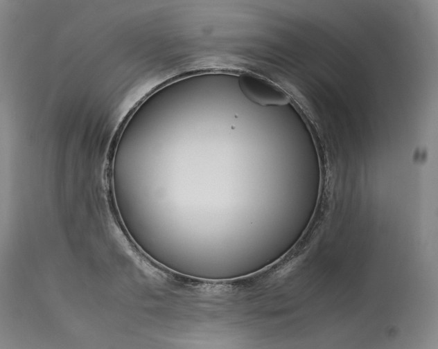 X0000113240893200909241543