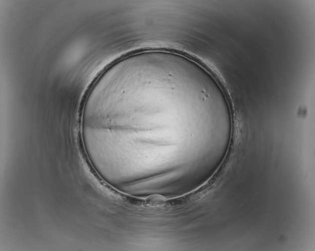 X0000113240895200909241543