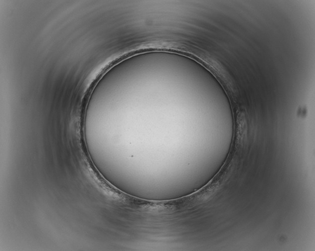 X0000113240896200909241543