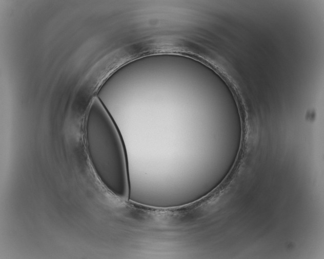 X0000113240897200909241543