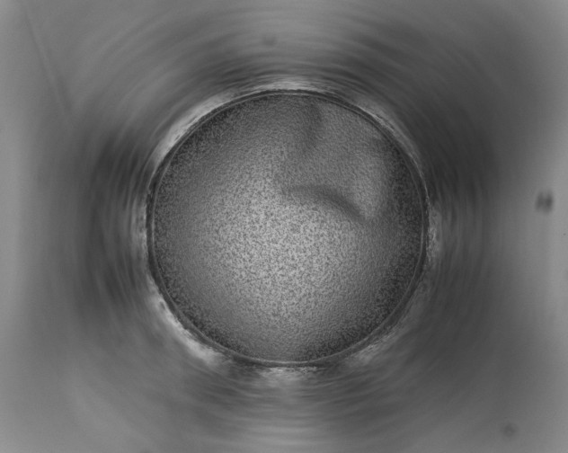 X0000113240898200909241543