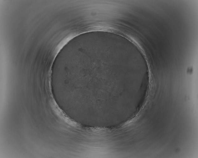 X0000113240899200909241543