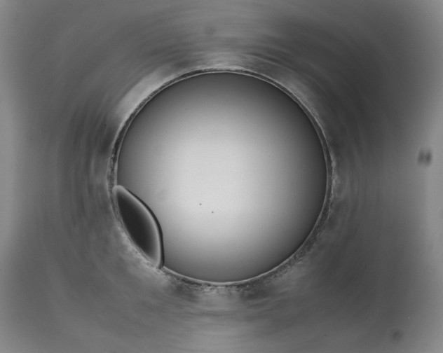 X0000113240901200909241543