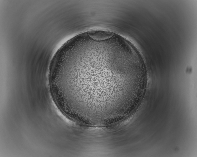 X0000113240902200909241543