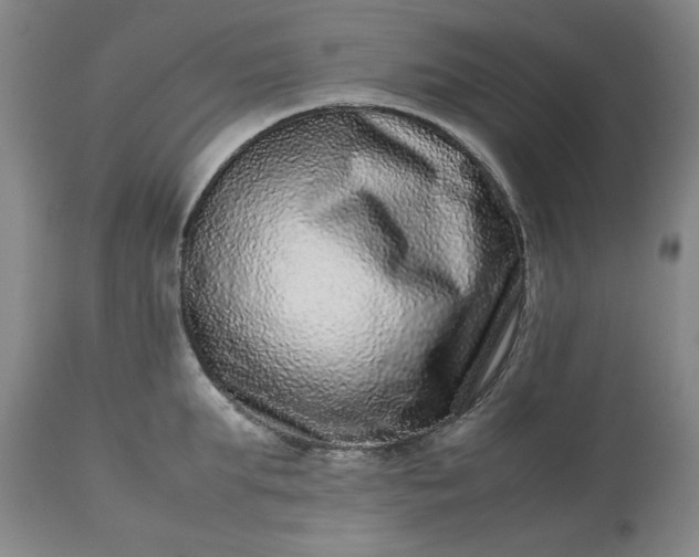 X0000113240903200909241543