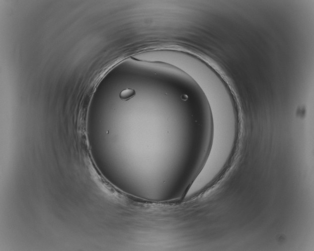 X0000113240905200909241543