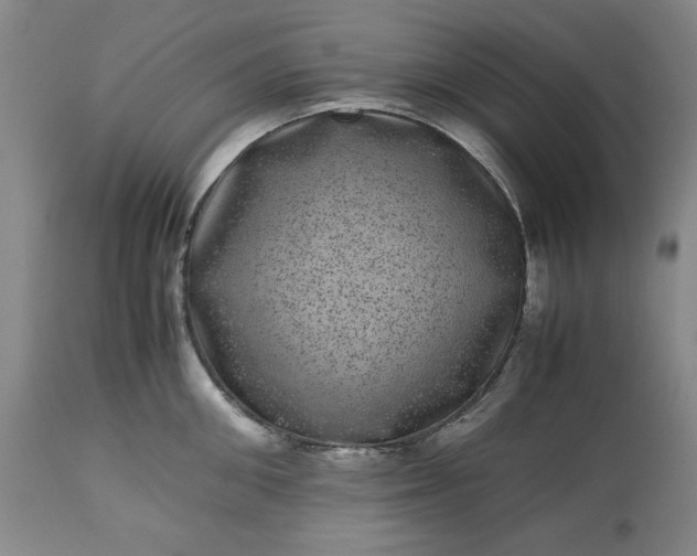 X0000113240906200909241543