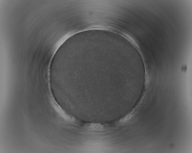 X0000113240907200909241543