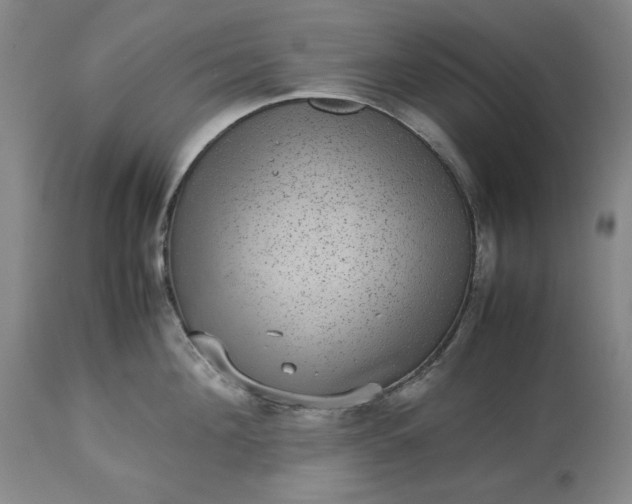 X0000113240908200909241543