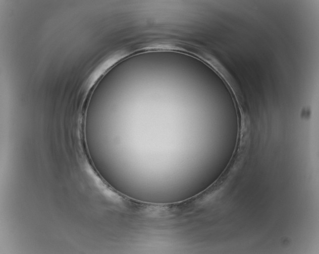 X0000113240909200909241543