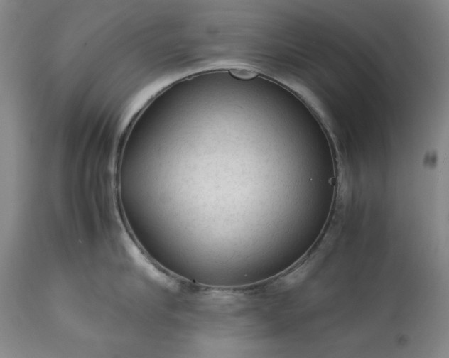 X0000113240910200909241543