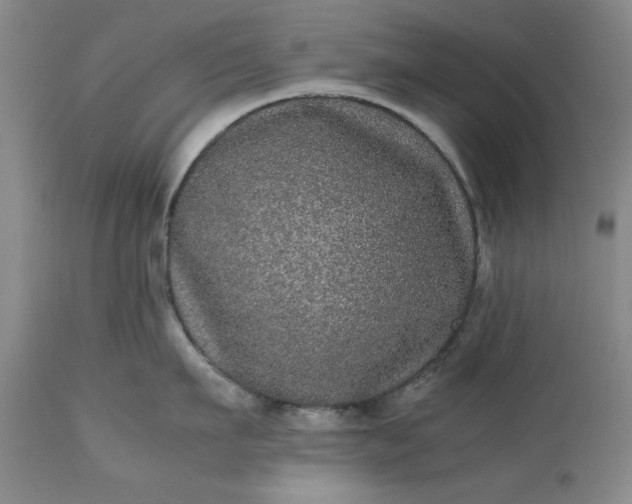 X0000113240911200909241543