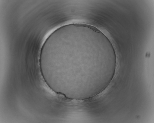 X0000113240912200909241543