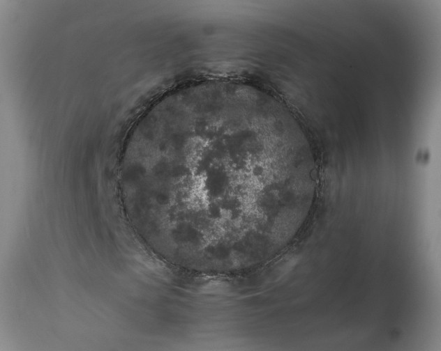 X0000113240913200909241542