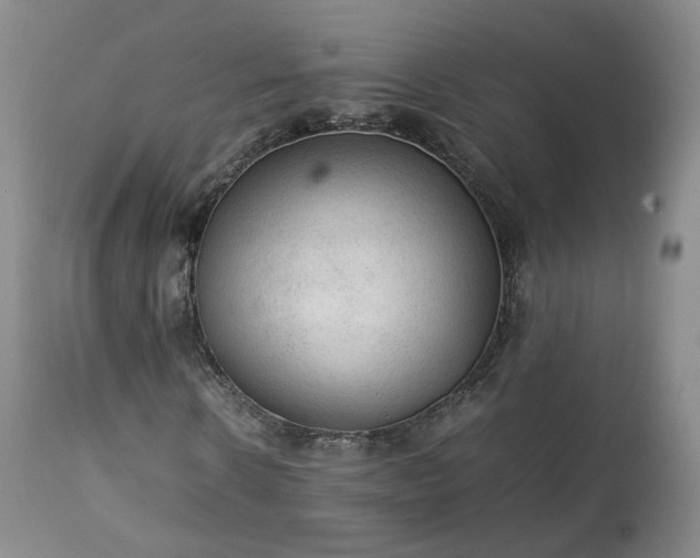 X0000113240914200909241542