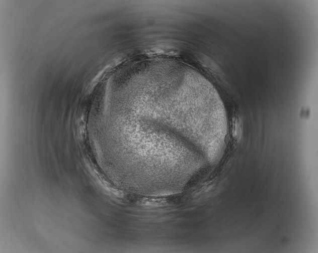 X0000113240915200909241543