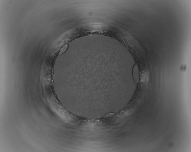 X0000113240916200909241543