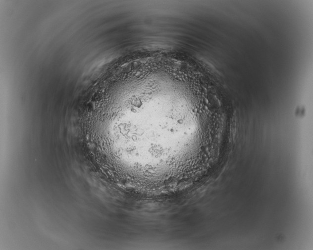 X0000113240917200909241543